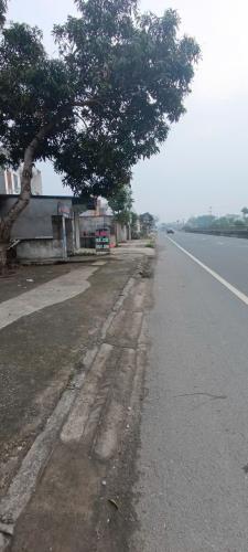 CHÍNH CHỦ CẦN BÁN NHÀ TẠI - HUYỆN VĨNH BẢO - 4
