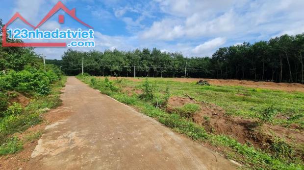SANG GẤP 250M2 ĐẤT Ở GẦN KHU CÔNG NGHIỆP ĐANG HOẠT ĐỘNG, GẦN CHỢ. GIÁ 220 TRIỆU