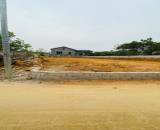 355M2 CỔ ĐÔNG; GIÁ CHỈ HƠN 10TR/M2