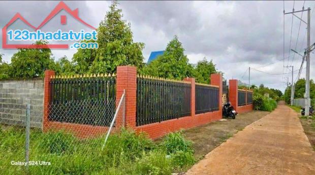 TÔI KẸT TIỀN NÊN CẦN BÁN GẤP VƯỜN SẦU RIÊNG 300 CÂY VÀ CÓ NHÀ CÁP 4 ĐIỆN NƯỚC CÓ SẴN DỌN - 2