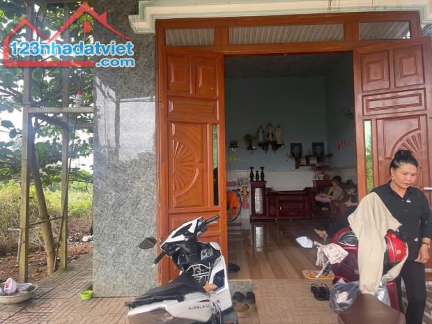 TÔI KẸT TIỀN NÊN CẦN BÁN GẤP VƯỜN SẦU RIÊNG 300 CÂY VÀ CÓ NHÀ CÁP 4 ĐIỆN NƯỚC CÓ SẴN DỌN - 3
