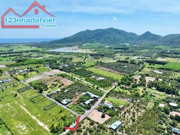 ✅VƯỜN XOÀI THỊ TRẤN PHƯỚC HẢI- GẦN BIỂN PHƯỚC HẢI - LONG ĐẤT - BRVT  ✅DT 10mx50m - 500m2 - - 1