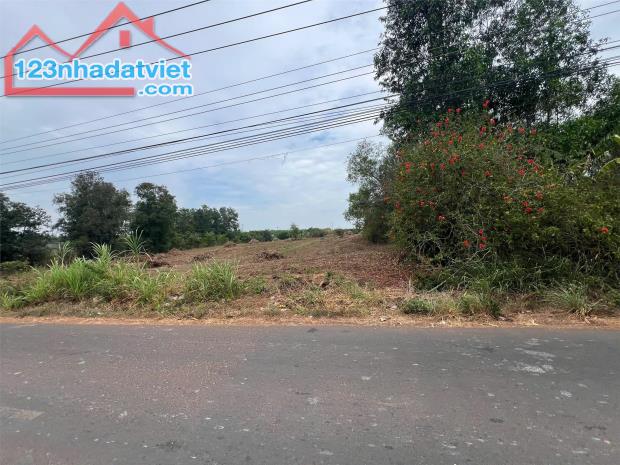 🏗️ BÁN ĐẤT MẶT TIỀN ĐƯỜNG BÀU CẠN 10X75 – LONG PHƯỚC, LONG THÀNH - 2