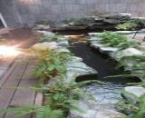 ? BIỆT THỰ CAO CẤP GIANG VĂN MINH, BA ĐÌNH 360m2 MẶT TIỀN 12m GARA ÔTÔ NỘI THẤT XỊN SỔ ĐẸP