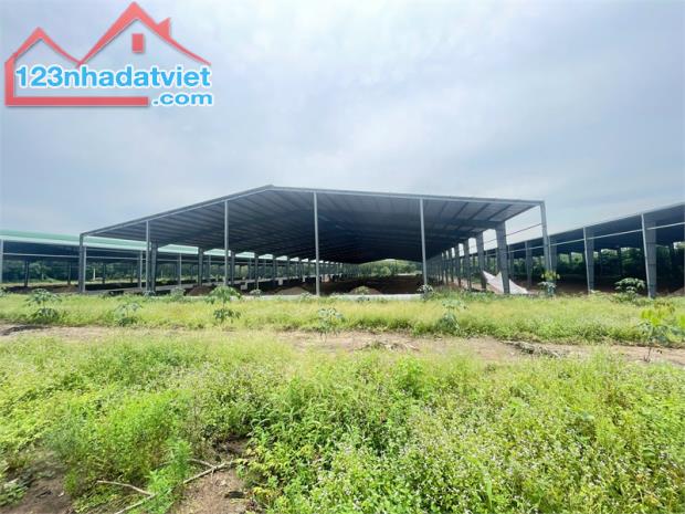 Nhà xưởng Bán, cho thuê, pháp lý chuẩn, với đầy đủ giấy phép. hình thức trao đổi trực tiếp - 2