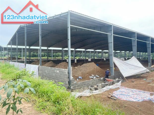 Nhà xưởng Bán, cho thuê, pháp lý chuẩn, với đầy đủ giấy phép. hình thức trao đổi trực tiếp - 4