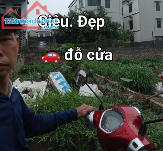 Tiên Kha Tiên Dương Đông Anh e có 2 nô đất *76,6 m2 5,3 tỷ *69m2 5,6 tỷ 🚗 đỗ cửa nhà - 1