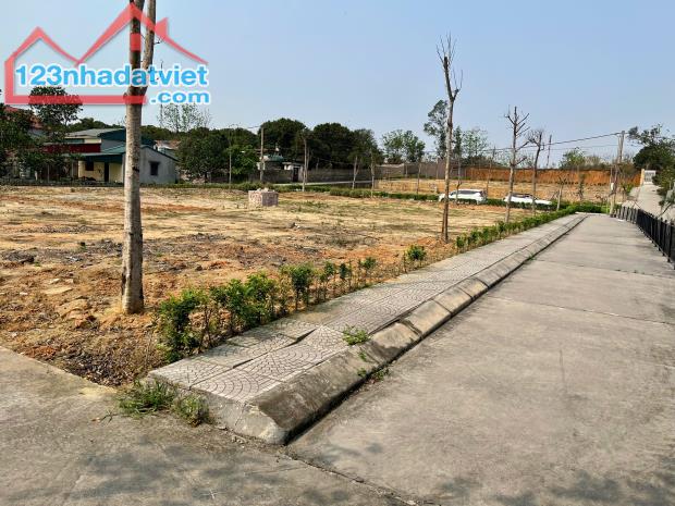 💸 Cơ hội đầu tư siêu phẩm đất nền tại Đông Triều chỉ với 6xx triệu - 3