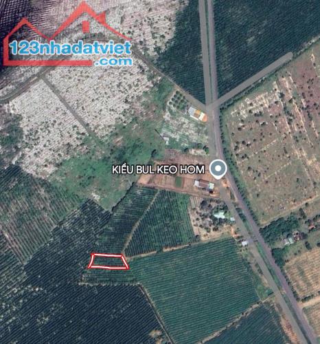 CƠ HỘI ĐẦU TƯ: 1033m2 ĐẤT THỔ CƯ THẮNG HẢI - HÀM TÂN - BÌNH THUẬN - GIÁ CHỈ 1 TỶ - SỔ ĐỎ - 1