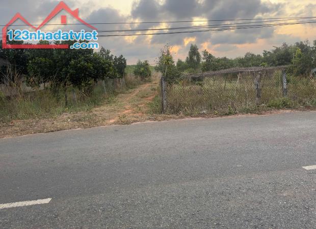 CƠ HỘI ĐẦU TƯ: 1033m2 ĐẤT THỔ CƯ THẮNG HẢI - HÀM TÂN - BÌNH THUẬN - GIÁ CHỈ 1 TỶ - SỔ ĐỎ - 2