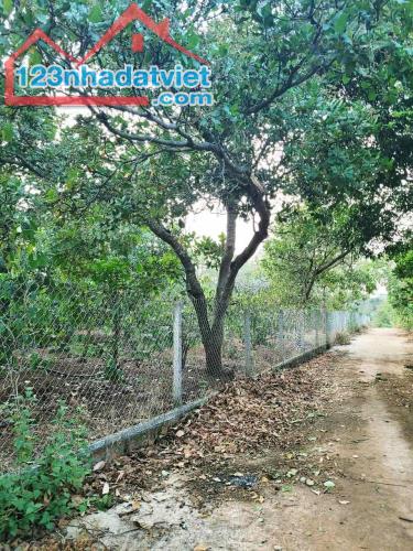 ĐẤT NÔNG NGHIỆP 1.7 HA, EA KAO - BUÔN MA THUỘT  - GIÁ HẤP DẪN 450 TRIỆU/SÀO - 2