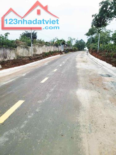 ĐẤT NÔNG NGHIỆP 1.7 HA, EA KAO - BUÔN MA THUỘT  - GIÁ HẤP DẪN 450 TRIỆU/SÀO - 3
