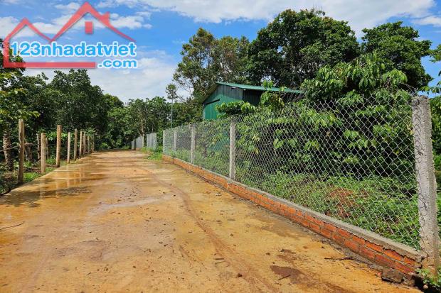 ĐẤT NÔNG NGHIỆP 1.7 HA, EA KAO - BUÔN MA THUỘT  - GIÁ HẤP DẪN 450 TRIỆU/SÀO - 4