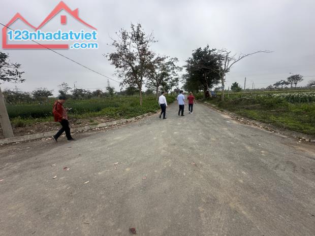 Bán lô đất tại TDC Bà Cằng, Hòa Nghĩa, Dương Kinh, Hải Phòng - 2