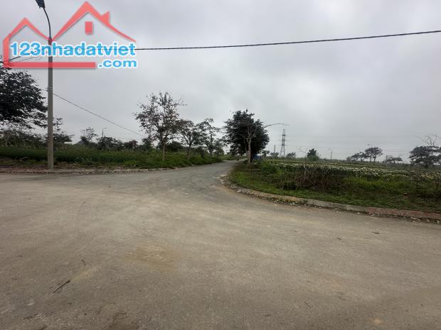 Bán lô đất tại TDC Bà Cằng, Hòa Nghĩa, Dương Kinh, Hải Phòng - 4