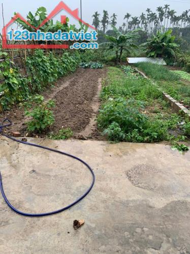 Chỉ 1.2x tỷ 71m2 đất Lâm Động - Thuỷ Nguyên oto 7 chỗ quay đầu vị trí siêu tiềm năng. - 1