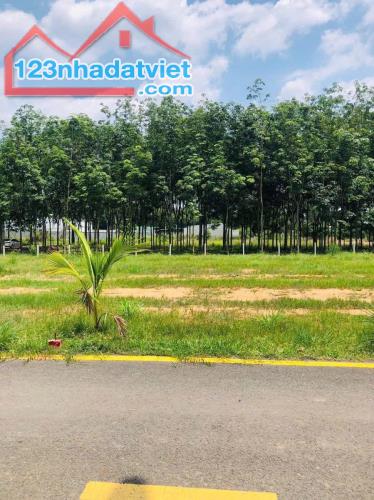 🌹🌹 hữu duyên cho ai sở hữu mảnh đất nền 163m2 chỉ 500tr ở Phước Thạnh Củ Chi - 3