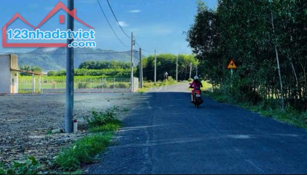 CÁCH TỈNH LỘ 44B 300M - TT PHƯỚC HẢI MỚI . LONG ĐẤT .BRVT Dt: