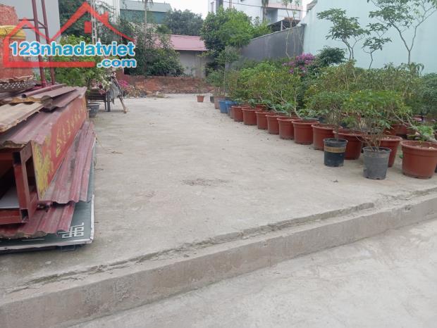 Siêu Phẩm Gần Dự án Cầu Thượng Cát Chủ Mót Bán giá Rẻ Yên Nhân Tiền phong Mê Linh Hà Nội - 1