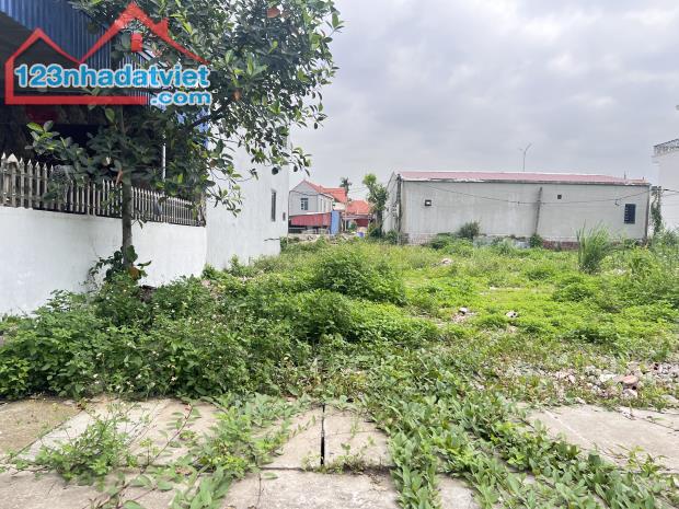 Bán đất sau đường 26m – Khu D Bắc Sông Cấm, Thủy Nguyên 108m trục đường 8m. Lh 0967084289 - 1