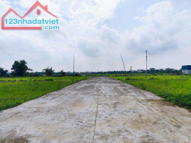 Lô duy nhất đất DG Đại Nam -Thị Trấn Phú Xuyên,giá 27.5tr, đất dân xung quanh đều đã 3x. - 2