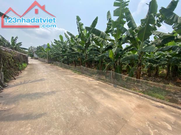 BÁN ĐẤT XÃ THANH HỒNG, THANH HÀ, HẢI DƯƠNG 300M² x 10M Ô TÔ CHỈ 7.5 TỶ. - 2