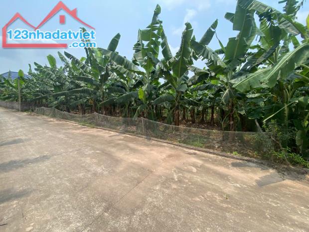 BÁN ĐẤT XÃ THANH HỒNG, THANH HÀ, HẢI DƯƠNG 300M² x 10M Ô TÔ CHỈ 7.5 TỶ. - 3
