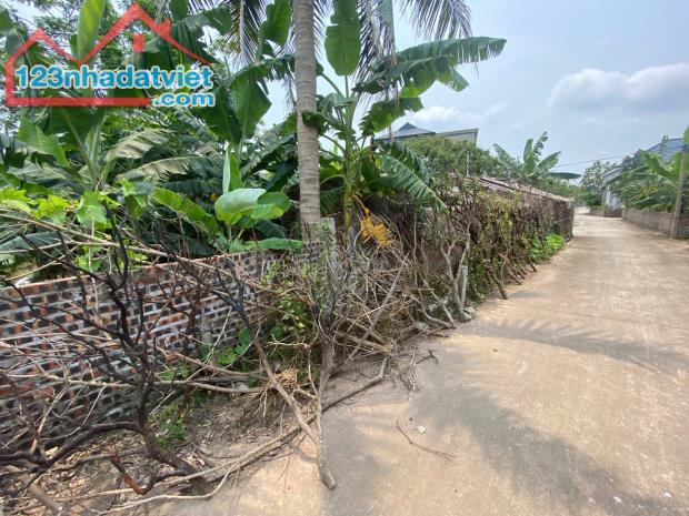 BÁN ĐẤT, THANH HỒNG, THANH HÀ 200M² – NGAY TRUNG TÂM XÃ THANH HỒNG CHỈ 5,4 TỶ. - 1