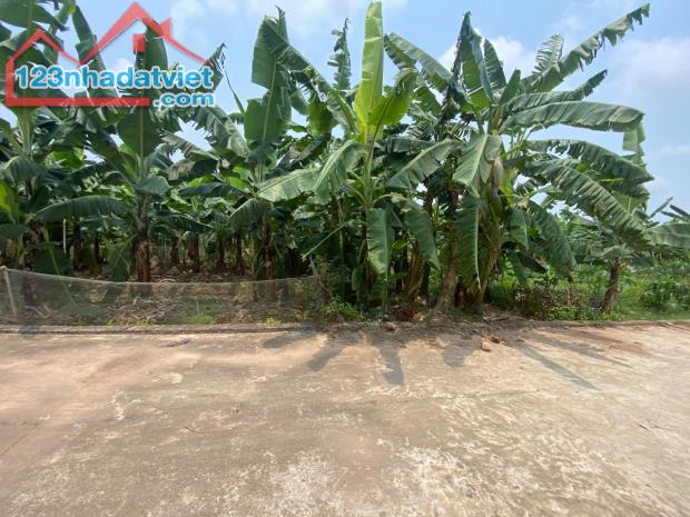 BÁN ĐẤT, THANH HỒNG, THANH HÀ 200M² – NGAY TRUNG TÂM XÃ THANH HỒNG CHỈ 5,4 TỶ. - 4