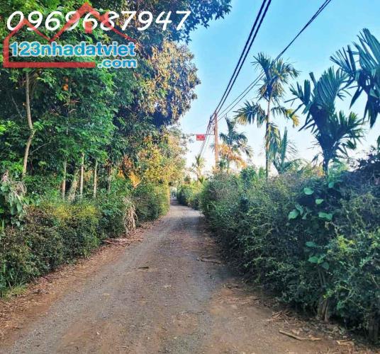 CƠ HỘI ĐẦU TƯ – 1.3HA GIÁ CHỈ 650 TRIỆU/SÀO! CUÔR ĐĂNG GIÁP HÒA THUẬN-BUÔN MATHUỘT - - 2