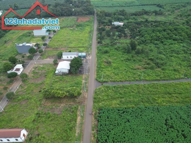 🔥 Đất Đẹp Sổ Riêng Đông Hoà – Giá Chỉ 900 Triệu! - 4