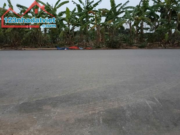 Bán lô đất dịch vụ phường Tích Sơn, Thành Phố Vĩnh Yên, Tỉnh Vĩnh Phúc - 2