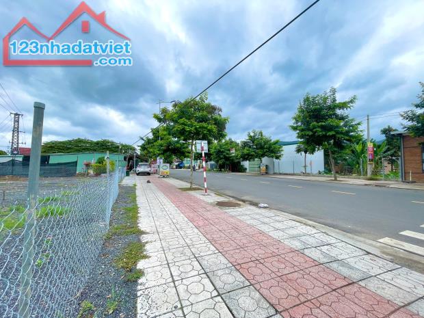 Bán đất 241m2 mặt tiền Nguyễn Trãi, Diên Khánh - 1