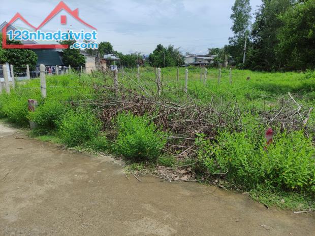 Lô đất Diên Khánh 100m2 chỉ 390tr có thổ và sổ riêng (chủ cần bán Nhanh) - 2