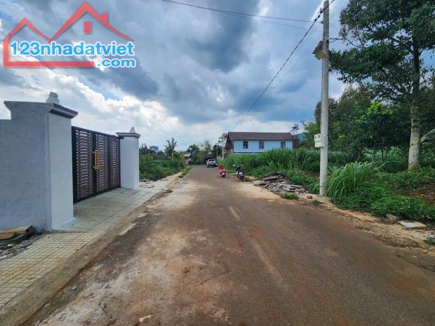 BÁN 132m2 ĐẤT XÃ HIỆP THẠNH - ĐỨC TRỌNG - LÂM ĐỒNG - 1.6 tỷ - 3
