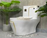 Bồn Cầu Trắng 1 Khối Viền Vàng CODOR