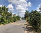 🎯 Đất sổ riêng, gần Phùng Hưng, chỉ 1,1 tỷ – cách sân bay Long Thành 15km