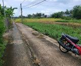 Chính chủ bán lô đất đẹp tại xã Phước Hậu, huyện Cần Giuộc.