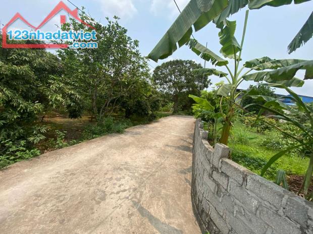 bán đất tại Xã Thanh Hồng, Thanh hà, Hải Dương, giá rẻ 175m ô tô chỉ 5.2 tỷ.