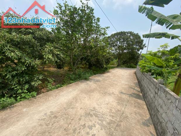 bán đất tại Xã Thanh Hồng, Thanh hà, Hải Dương, giá rẻ 175m ô tô chỉ 5.2 tỷ. - 2