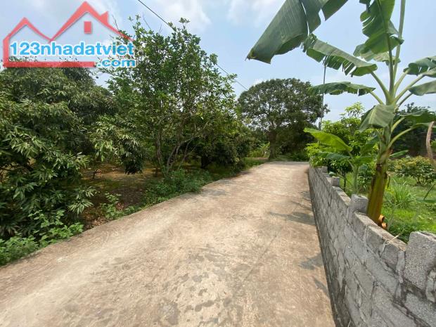 bán đất tại Xã Thanh Hồng, Thanh hà, Hải Dương, giá rẻ 175m ô tô chỉ 5.2 tỷ. - 3