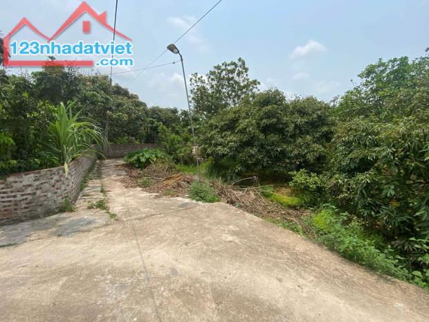 bán đất tại Xã Thanh Hồng, Thanh hà, Hải Dương, giá rẻ 175m ô tô chỉ 5.2 tỷ. - 4
