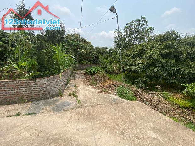bán đất tại Xã Thanh Hồng, Thanh hà, Hải Dương, giá rẻ 175m ô tô chỉ 5.2 tỷ. - 5