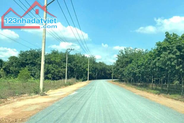 SỈ 5 SỔ ĐẤT THỔ CƯ 280M2 1 SỔ GIÁ CHỈ 198 TRIỆU NGAY SÁT QL13 PHÍA TÂY - 2