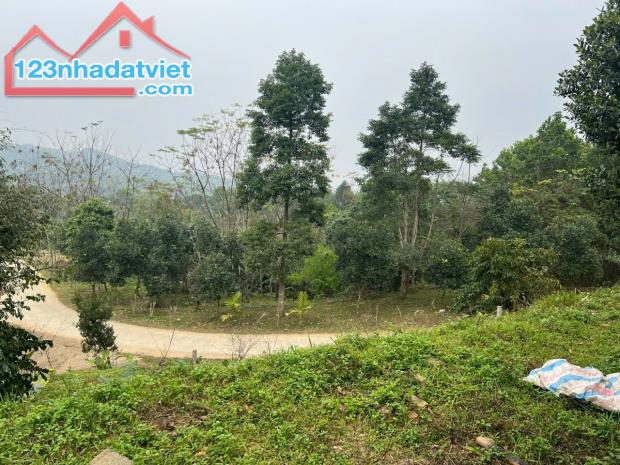 Bán lô đất đẹp Xóm Suối Cỏ, xã Hợp Hòa (cũ), Lương Sơn,Tỉnh Hòa Bình - 3