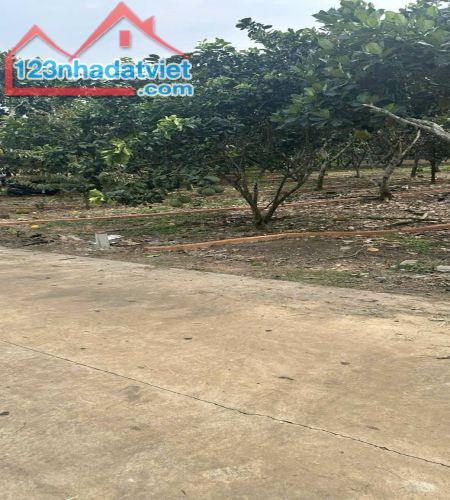 Lô đất vị trí đắc địa, ngay trung tâm Khu Công Nghiệp Bình Lộc - 1