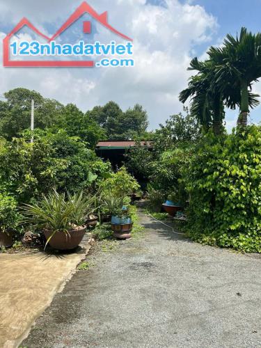 Bán nhà vườn P. Tân Vạn-Biên Hoà. 1000m2 sổ thổ cư. Đường ôtô. Giá 10 tỷ. - 1