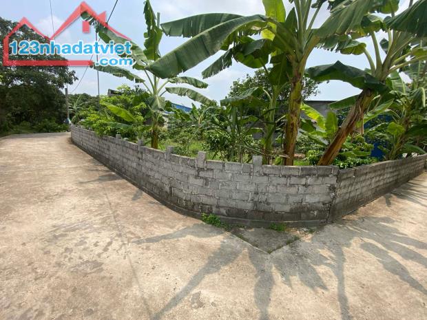 bán đất, thanh hồng, thanh hà, Hải Dương 300m lô góc ô tô chỉ 9 tỷ. - 2
