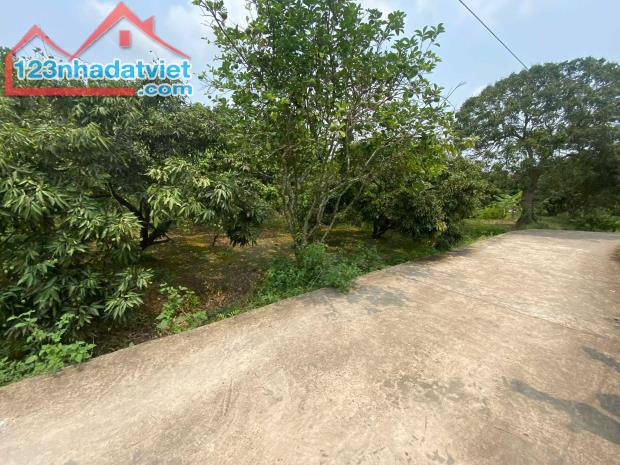 bán đất, thanh hồng, thanh hà, Hải Dương 300m lô góc ô tô chỉ 9 tỷ. - 3