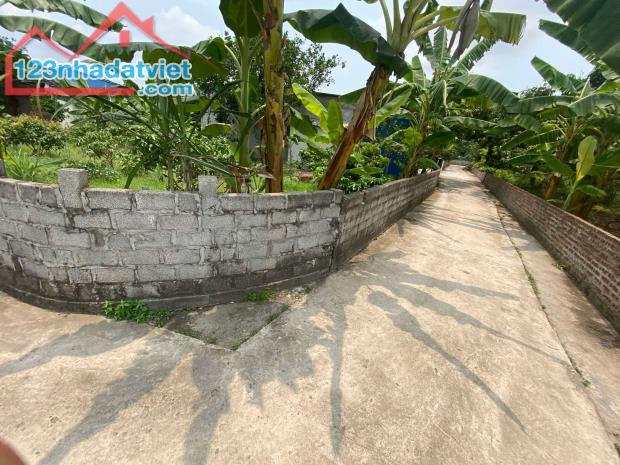 bán đất, thanh hồng, thanh hà, Hải Dương 300m lô góc ô tô chỉ 9 tỷ. - 4